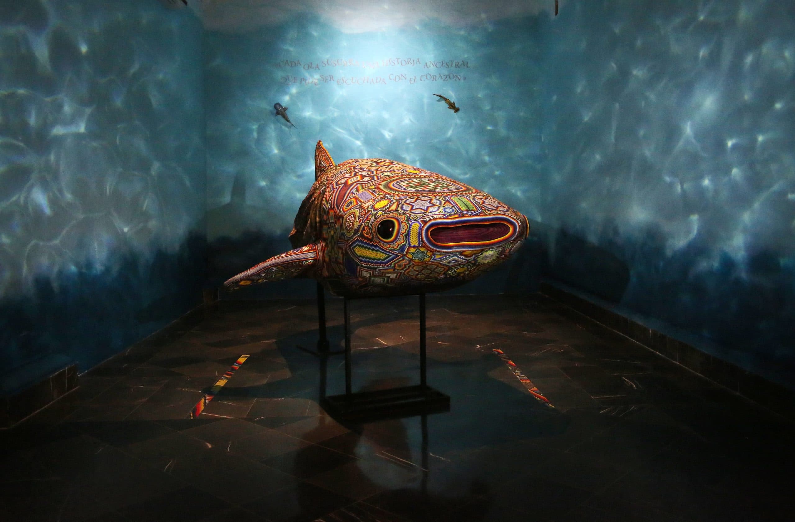 Extienden exposición “El Murmullo de los Océanos” en Puebla