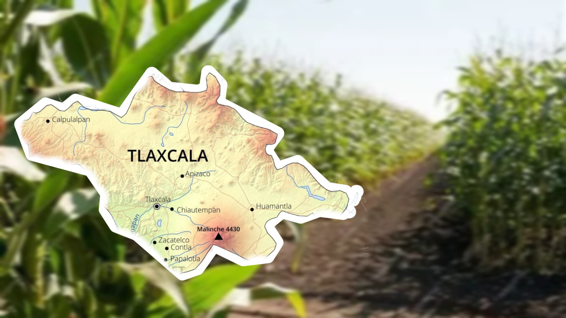 Tlaxcala se mantiene libre de sequía, mientras el país registra ligera mejoría