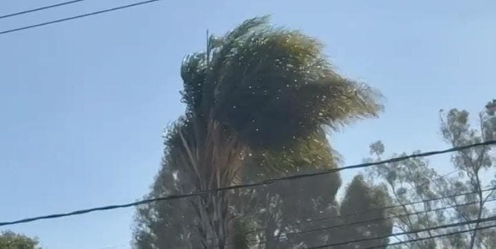 Emite Ayuntamiento de Puebla recomendaciones por ráfagas de viento