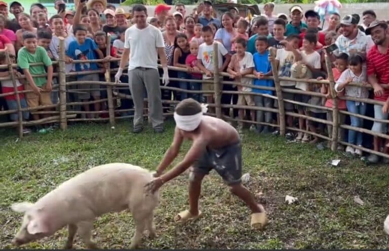 Suspenden actividad del “puerquito encebado” en Zacapoaxtla.