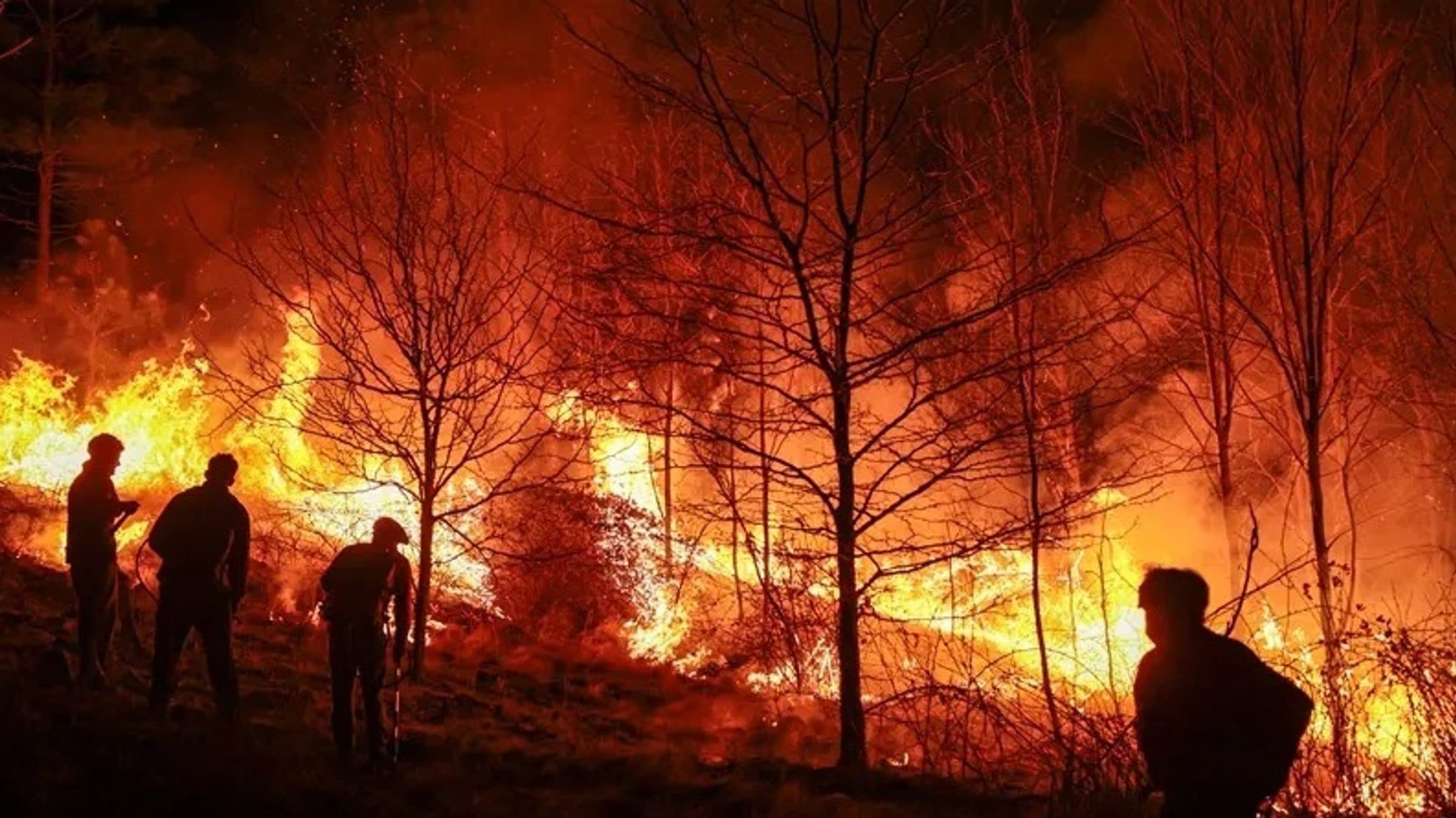 El 70% de incendios forestales en Puebla son provocados: Armenta