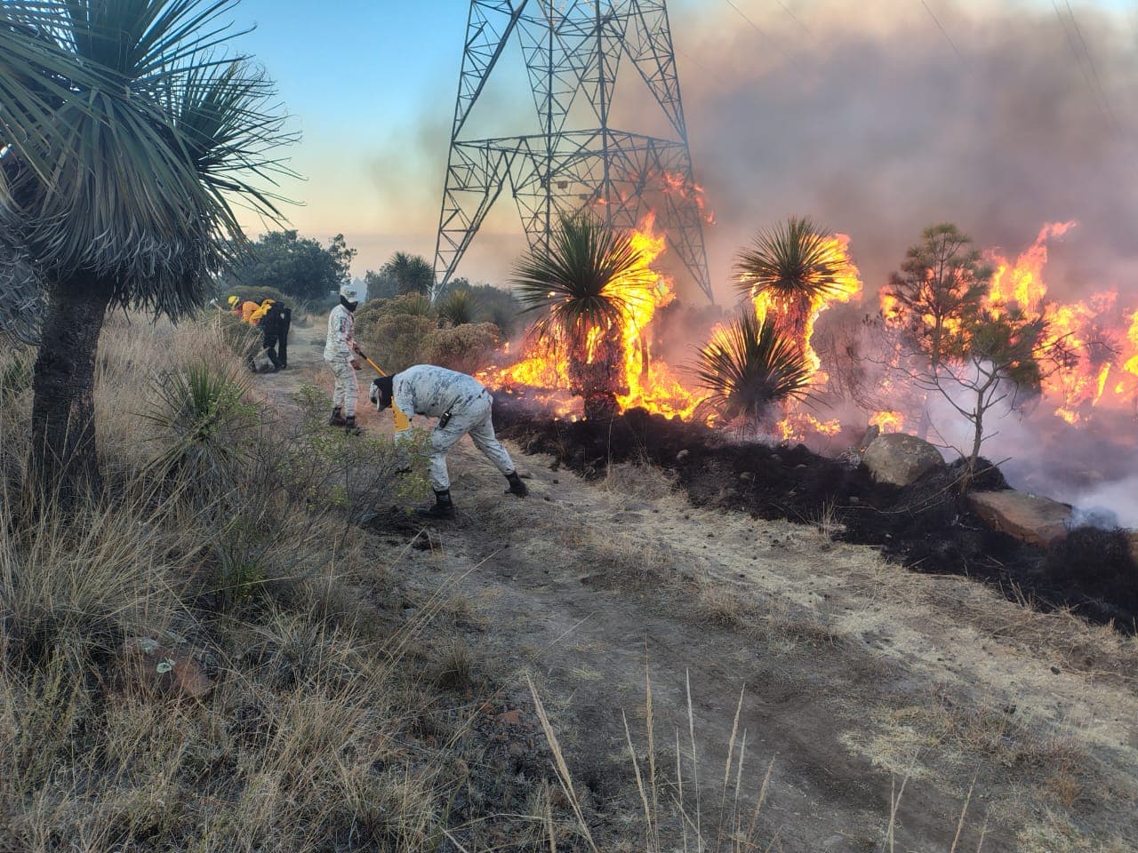 En Puebla, se contabilizó 234 incendios : Protección Civil Municipal